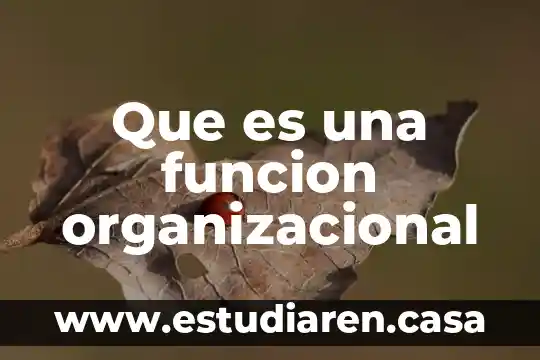 Que es una funcion organizacional