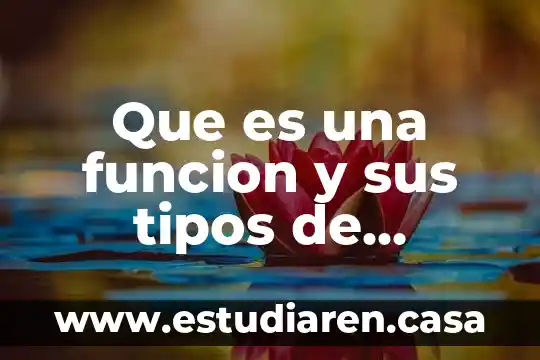 Que es una funcion y sus tipos de funciones
