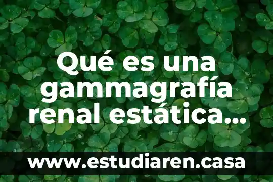 Qué es una gammagrafía renal estática con DMSA en niños