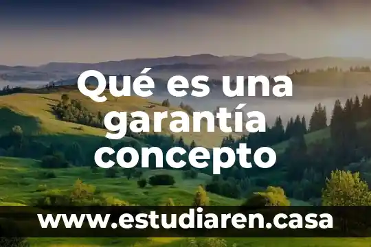Qué es una garantía concepto