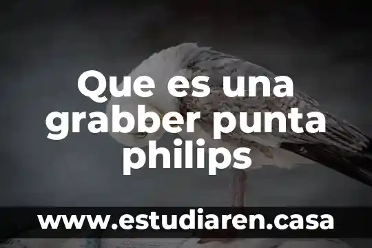 Que es la punta de lomo 4 Que es una grabber punta philips