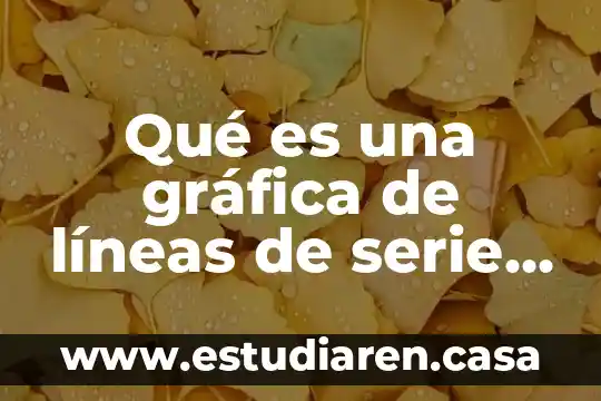 Que es el tiempo y el espaco ficticio 4 Qué es una gráfica de líneas de serie de tiempo