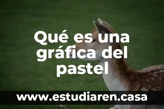 Qué es una gráfica del pastel