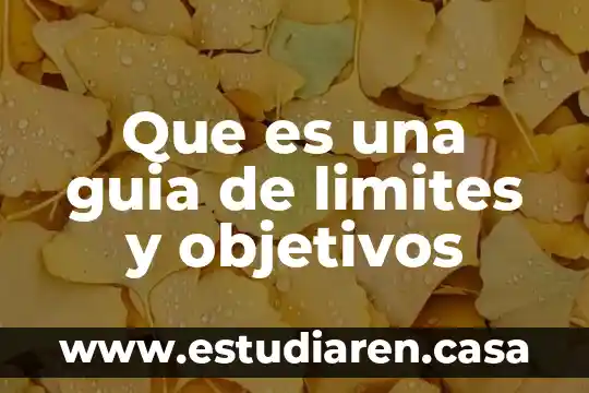 Que es una guia de limites y objetivos