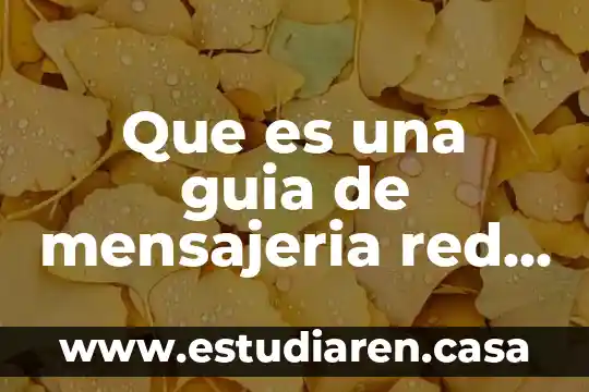 Que es una guia de mensajeria red pack