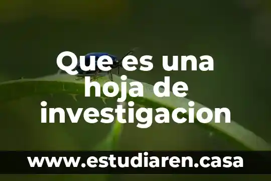 Que es una hoja de investigacion