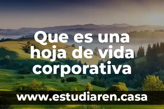 Que es una hoja de vida corporativa