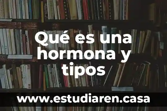 Qué es una hormona y tipos