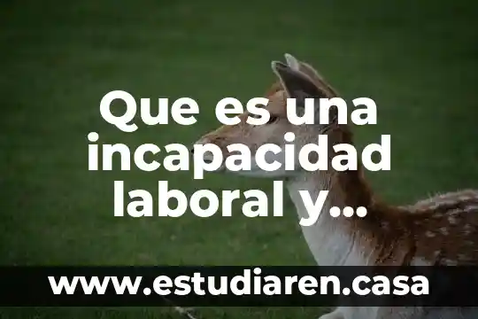 Que es una incapacidad laboral y cuantos tipos existen