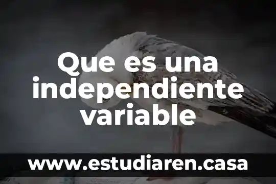 Que es una independiente variable
