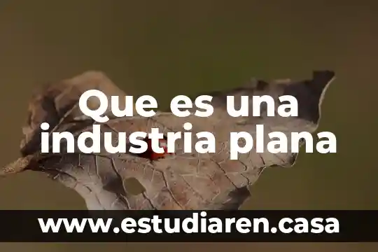 Ver que es una plana o asimutal 8 Que es una industria plana