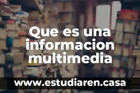 Que es una informacion multimedia