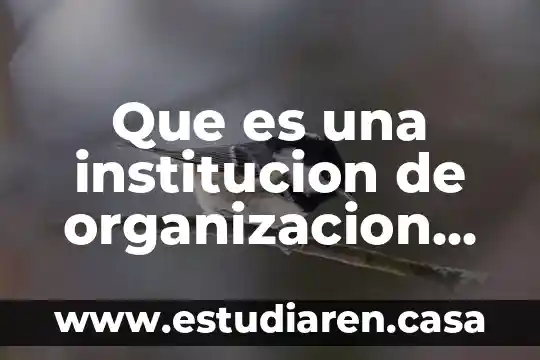 Que es una institucion de organizacion completa