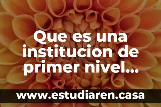Que es una institucion de primer nivel para el conacyt