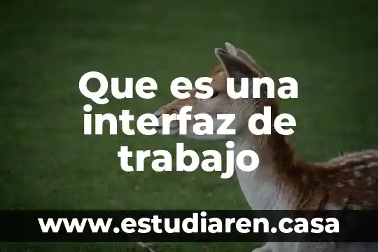Que es un interfaz grafico en base de datos 3 Que es una interfaz de trabajo