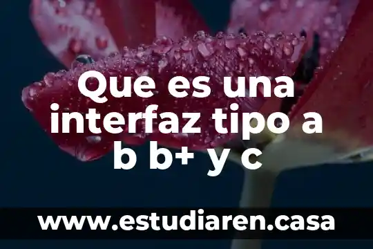 Que es una interfaz tipo a b b+ y c