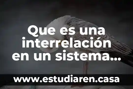 Que es sistema de informaci贸n gerencial en una empresa 5 Que es una interrelaci贸n en un sistema de informacion gerencial