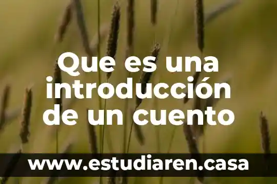 Que es la redaccion de un cuento 8 Que es una introducci贸n de un cuento
