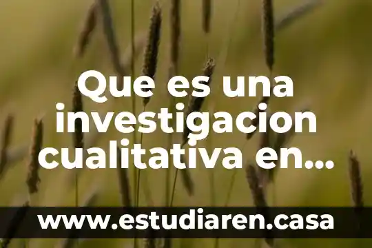 Que es educacion afectiva sexual 7 Que es una investigacion cualitativa en la educacion