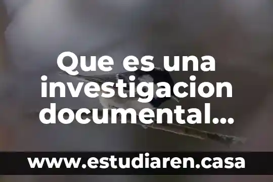 Documental cornico que es 6 Que es una investigacion documental funcion