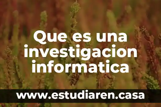 Que es una investigacion informatica