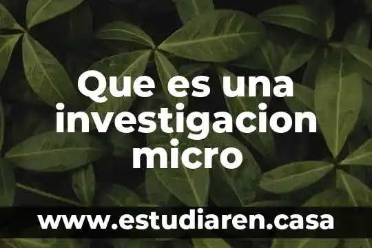 Que es un policia de investigacion 7 Que es una investigacion micro