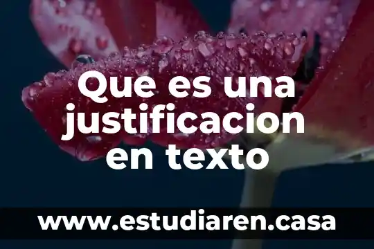 Que es una oracion topica en un texto 4 Que es una justificacion en texto
