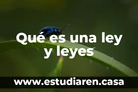 Que es la ley del tope 5 Qué es una ley y leyes