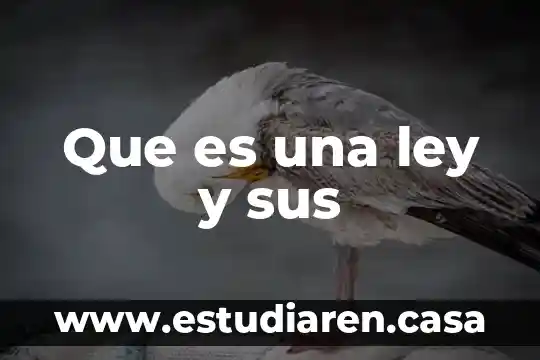 Que es una ley y sus