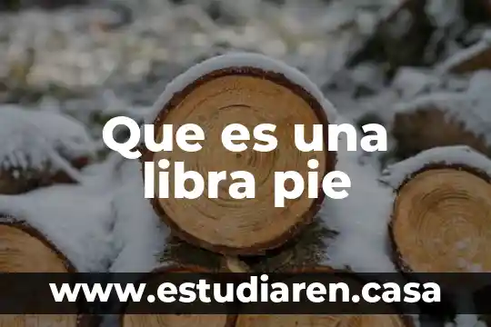 Que es una libra pie