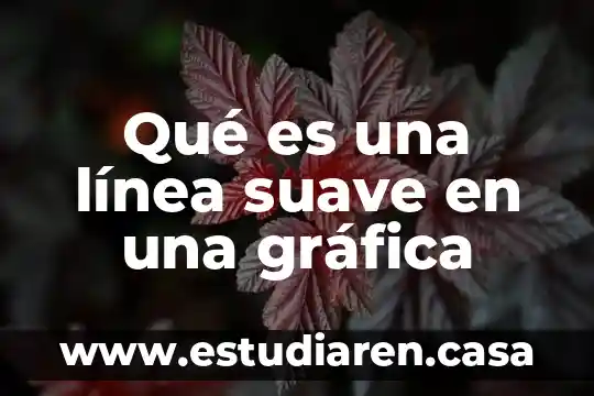 Qué es una función matemática y cómo se grafica 5 Qué es una línea suave en una gráfica
