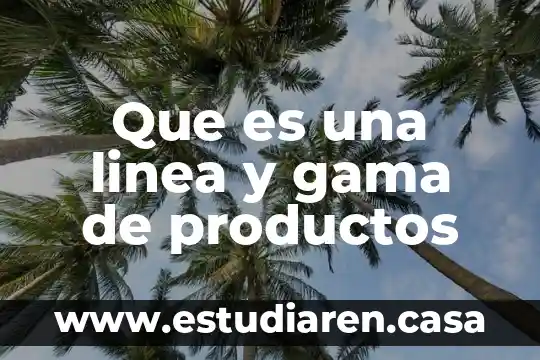 Que es la funcion gama 5 Que es una linea y gama de productos