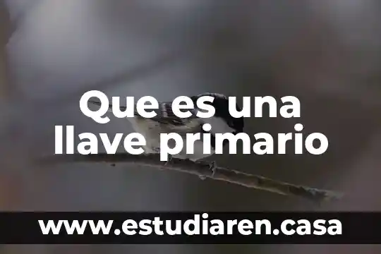 Que es una llave primario