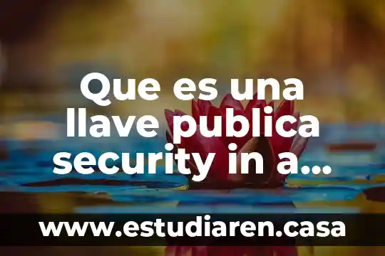 Que es un local de publica concurrencia 3 Que es una llave publica security in a box