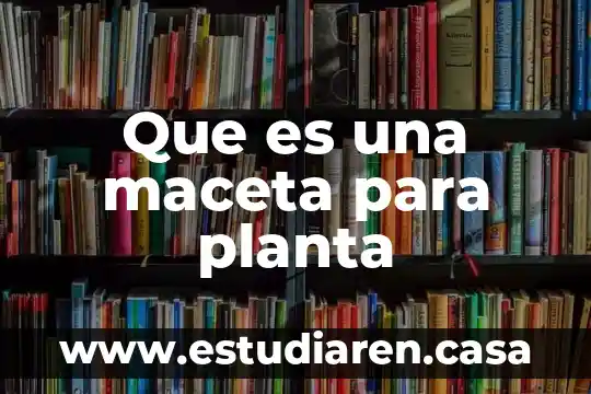 Que es una maceta para planta