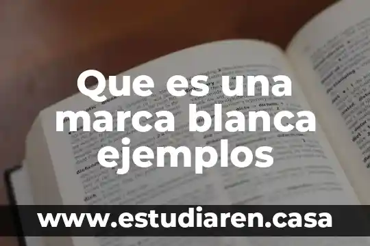 Que es marca blanca en turismo 3 Que es una marca blanca ejemplos