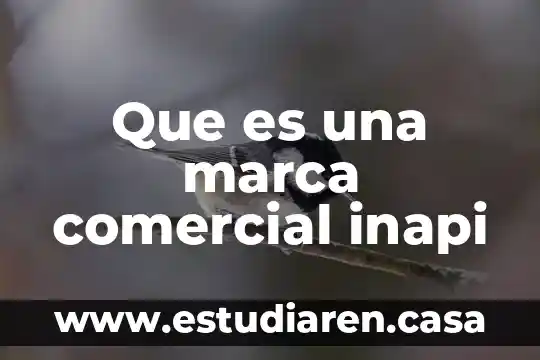 Que es una marca comercial inapi