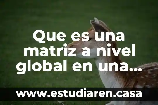Que es una matriz a nivel global en una organizacion