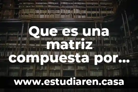 Que es una matriz compuesta por agua