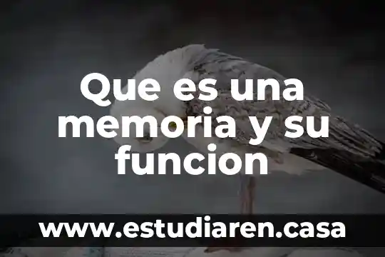 Memoria de gráficos disponible que es 8 Que es una memoria y su funcion