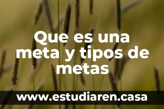 Que es una meta y tipos de metas