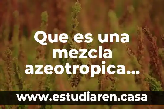 Que es autoridad unam 6 Que es una mezcla azeotropica unam
