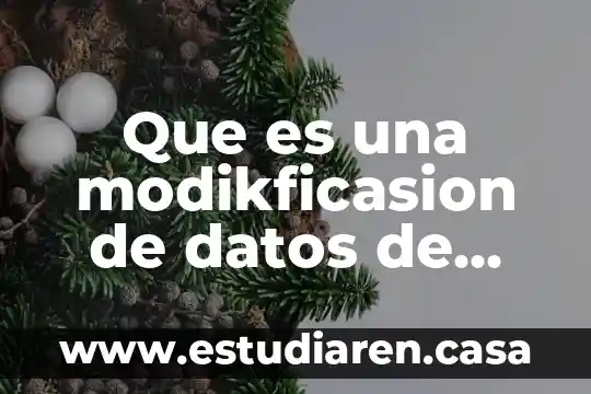 Que es datos de facturas 3 Que es una modikficasion de datos de celdas en excel