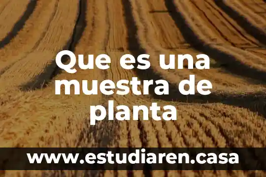 Que es una muestra de planta