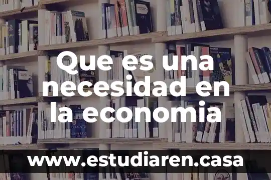 Que es una necesidad en la economia 18 Que es una necesidad en la economia