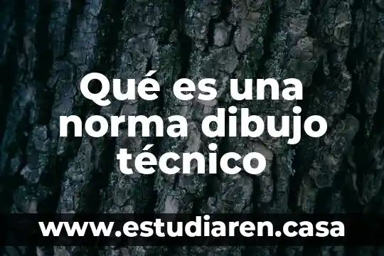 Que es una norma juridica autor lopez gutierrez 8 Qué es una norma dibujo técnico