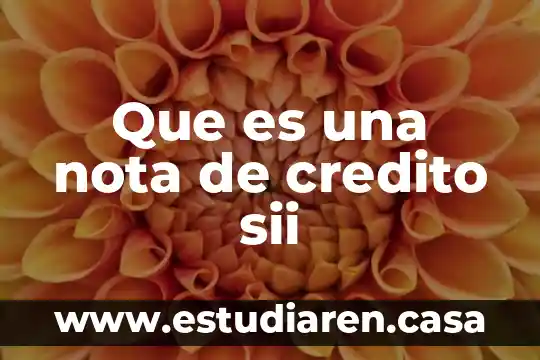 Que es una nota de credito sii