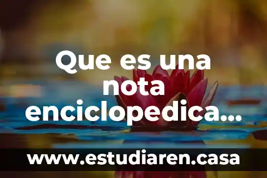 Que es una nota al pie en word 2010 6 Que es una nota enciclopedica y sus partes