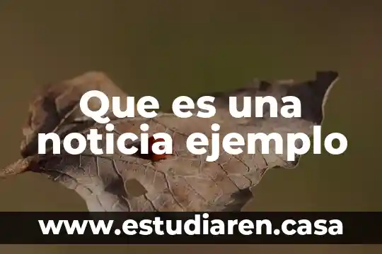 Que es una noticia ejemplo