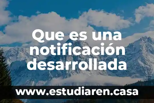 Que es una notificación desarrollada
